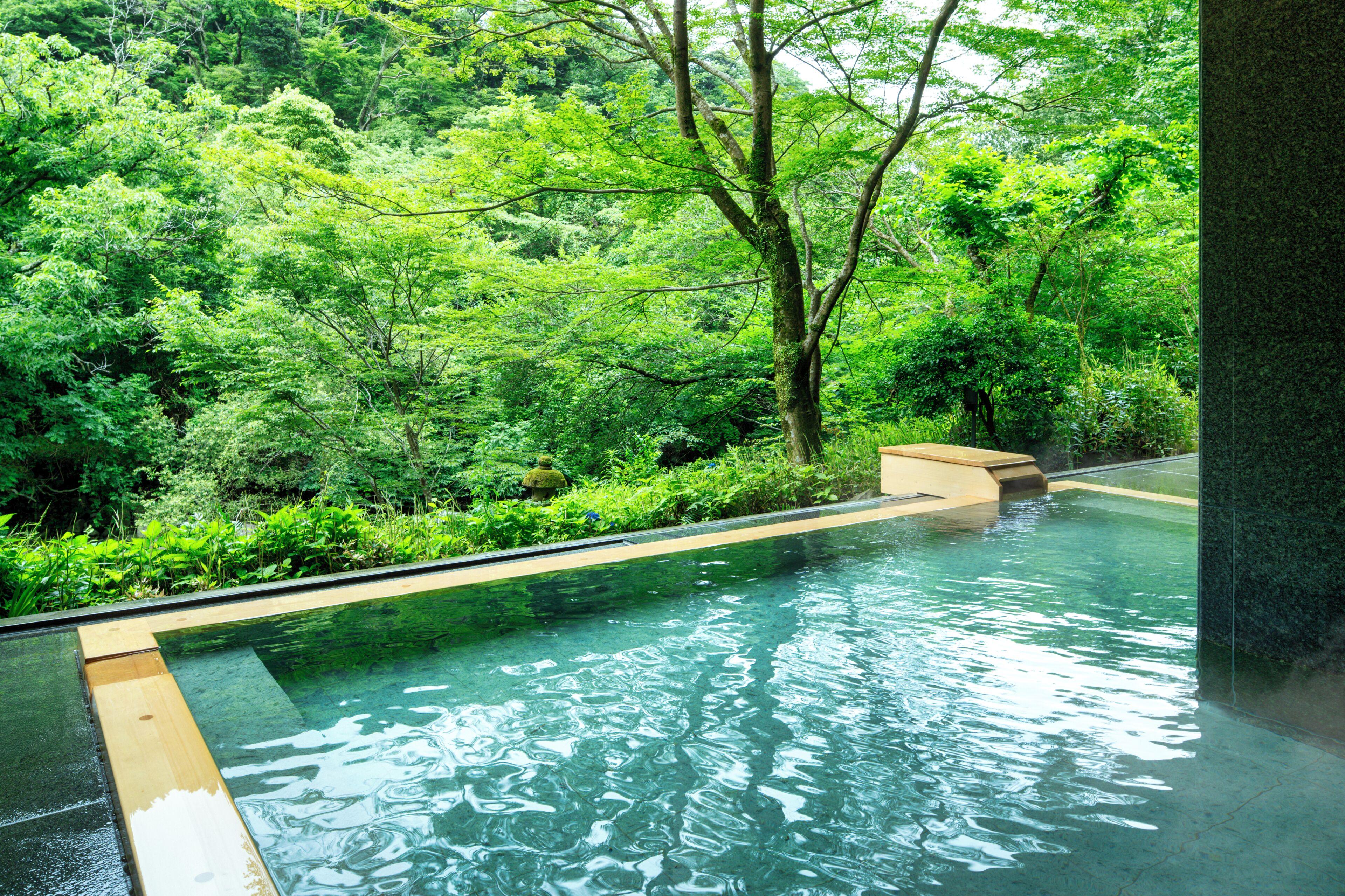 An infinity pool with a wooden edge, surrounded by lush greenery and trees.