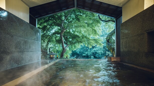 A serene indoor pool area with a view of lush greenery outside. - Hoshino Resorts KAI Hakone (Hakone)