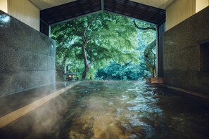 A serene indoor pool area with a view of lush greenery outside. - Hoshino Resorts KAI Hakone (Hakone)