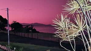 Escena nocturna al aire libre con césped, un borde de piedra y luces colgantes.