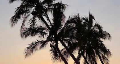 Cardwell Beachfront Motel