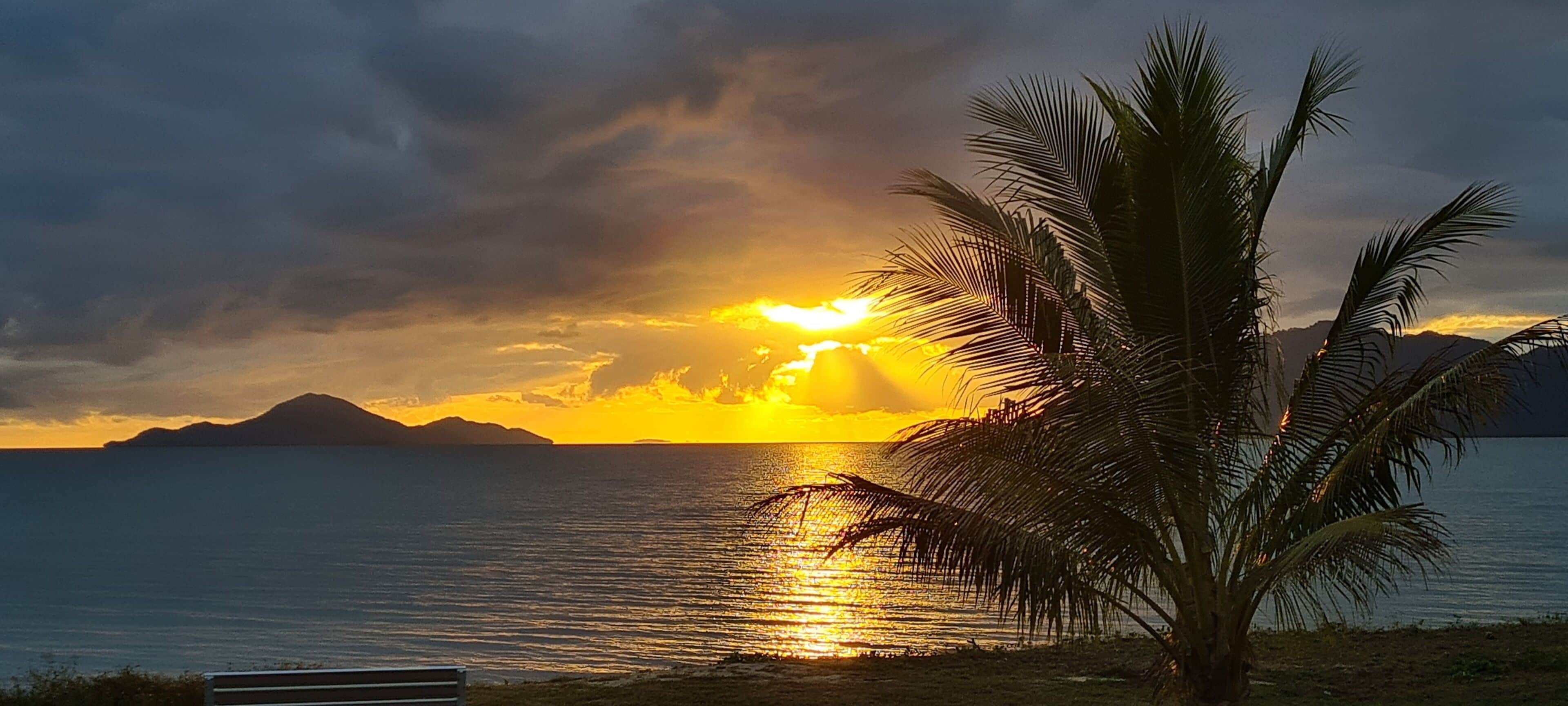 A sunset over a body of water with a palm tree in the foreground.