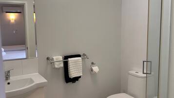A modern bathroom with a white sink, mirror, and toilet. There is a glass shower enclosure and a wooden floor.