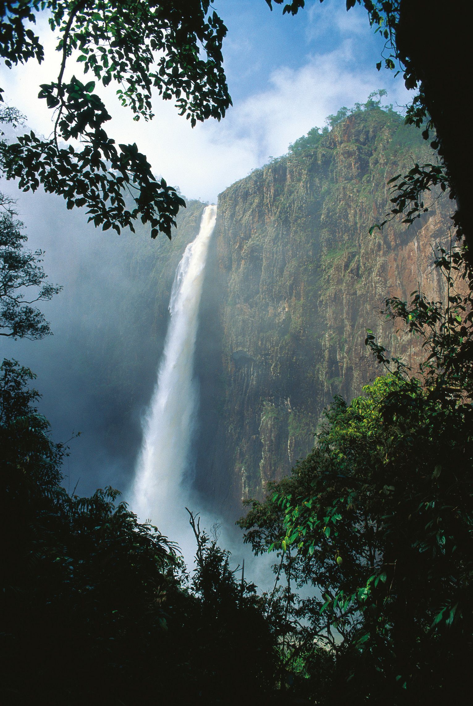 A waterfall cascading down a steep cliff surrounded by dense foliage.