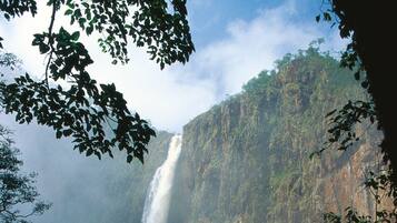 A waterfall cascading down a steep cliff surrounded by dense foliage.