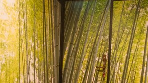 A room with a red carpet, a large window with a view of bamboo trees, and a wall with a bamboo pattern. - Picnic Hostel Osaka (Osaka)