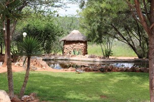 Jardines del alojamiento