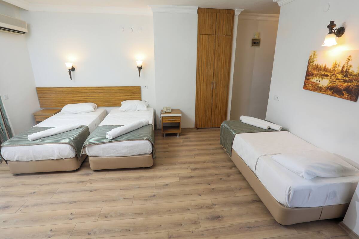 Economy Triple Room