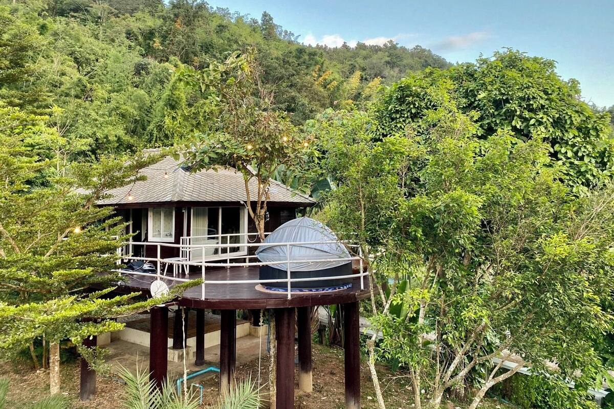 A wooden cabin with a dome-shaped roof, elevated on stilts, surrounded by lush greenery and trees.