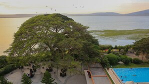 A view of a swimming pool area with a large tree in the foreground, surrounded by seating and a walking path. - Haile Resort Hawassa (Awassa)