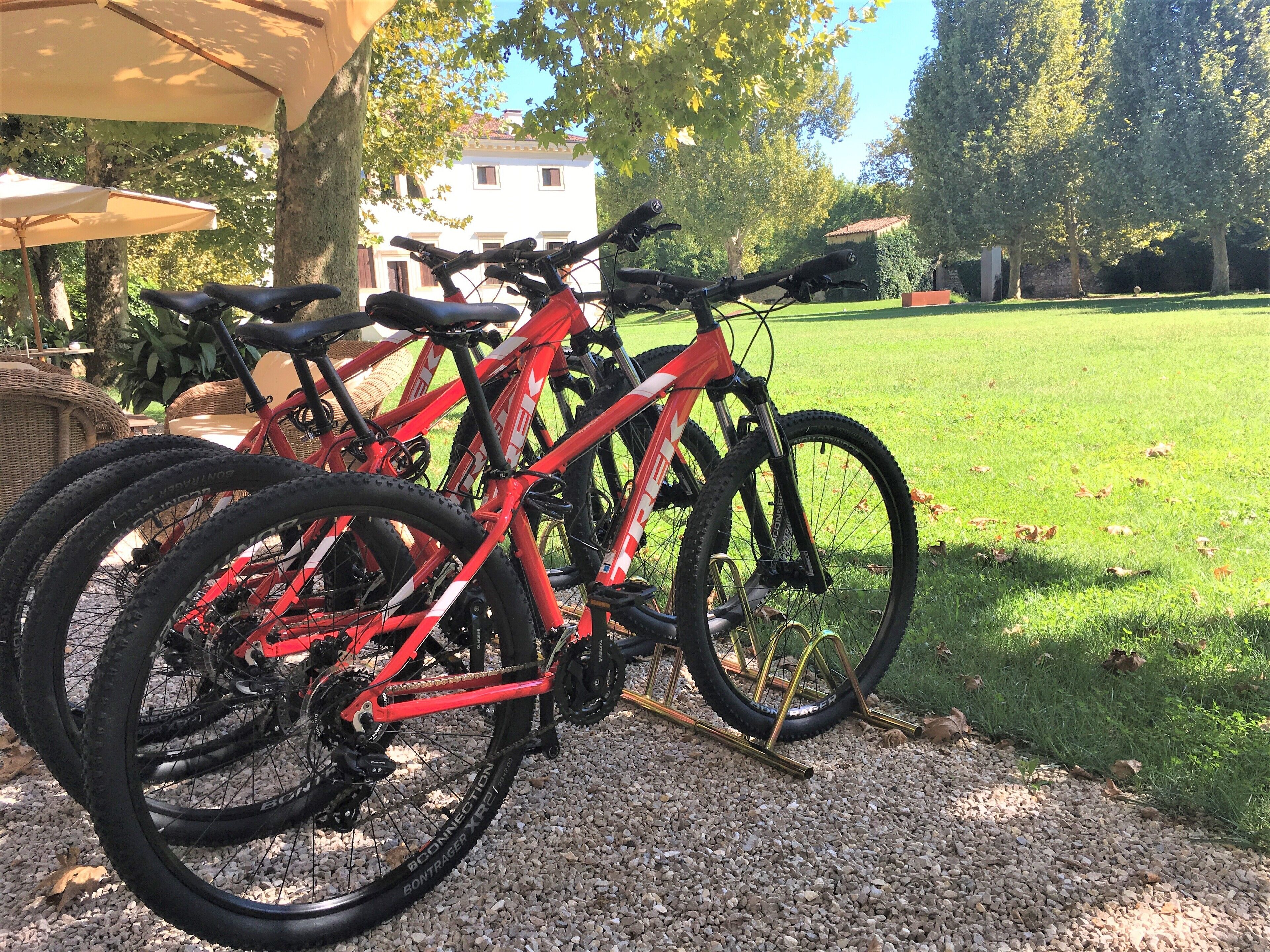 A row of red bicycles parked on a gravel path with a grassy area and trees in the background.
