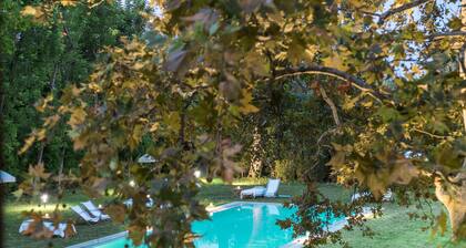 La Barchessa di Villa Pisani
