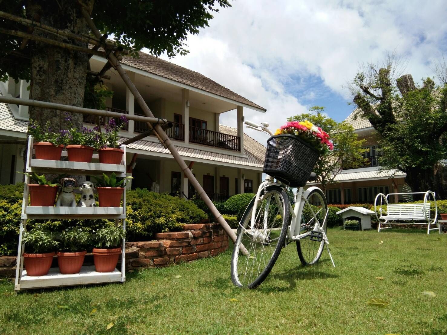 deluxe double room | garden view