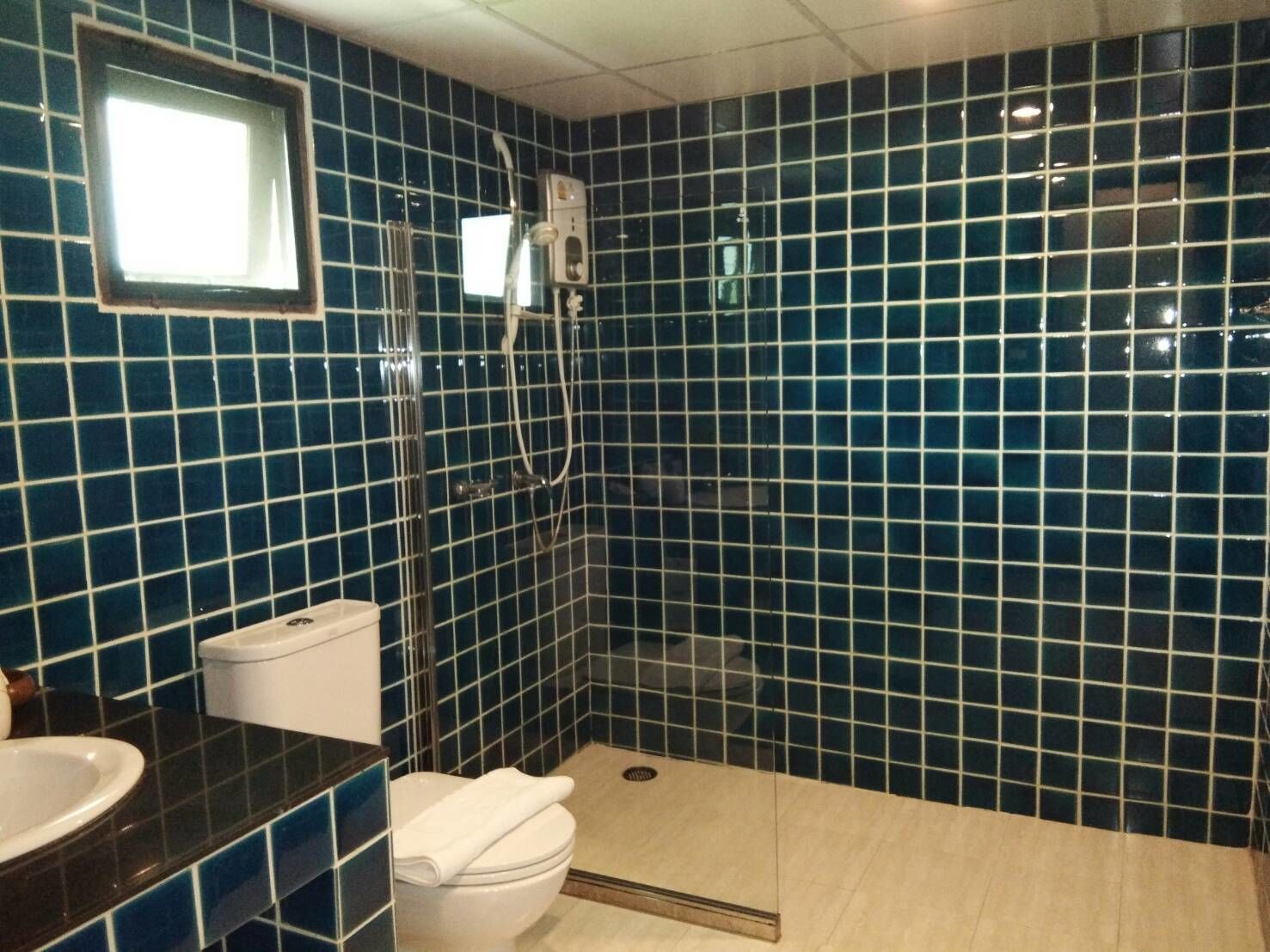 shower, free toiletries, hair dryer, slippers