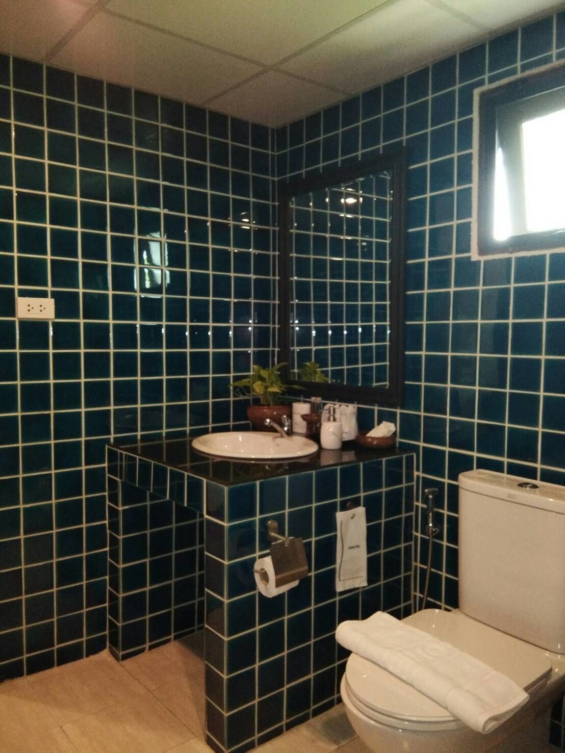 shower, free toiletries, hair dryer, slippers