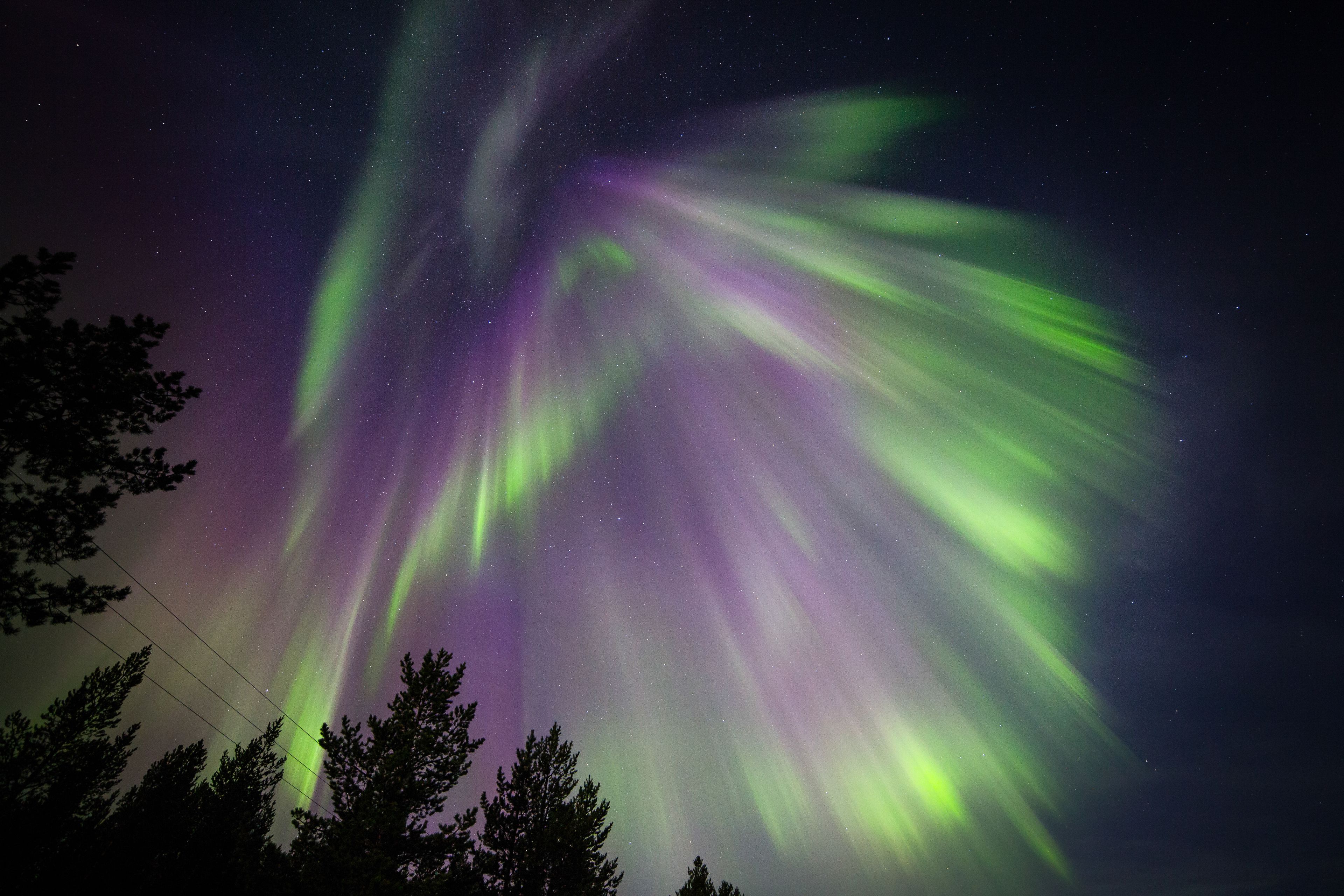 Aurora boreal sobre uma área arborizada.