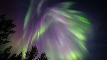 Aurora boreal sobre uma área arborizada.