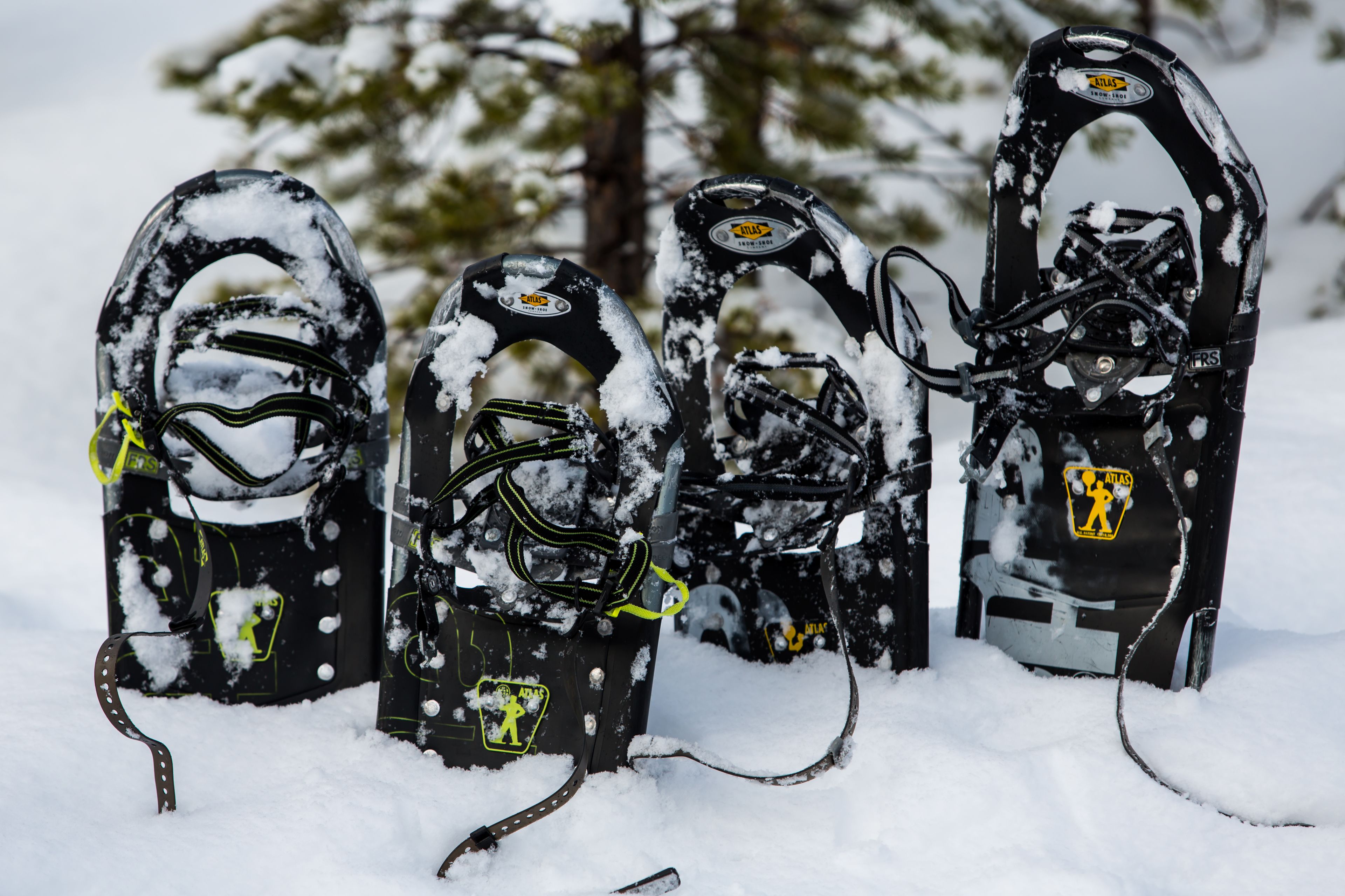 Four snowshoes with snow on them, standing in a snowy area.