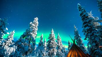 Paisaje nevado con una tienda de campaña y árboles cubiertos de nieve bajo un cielo nocturno con estrellas visibles.