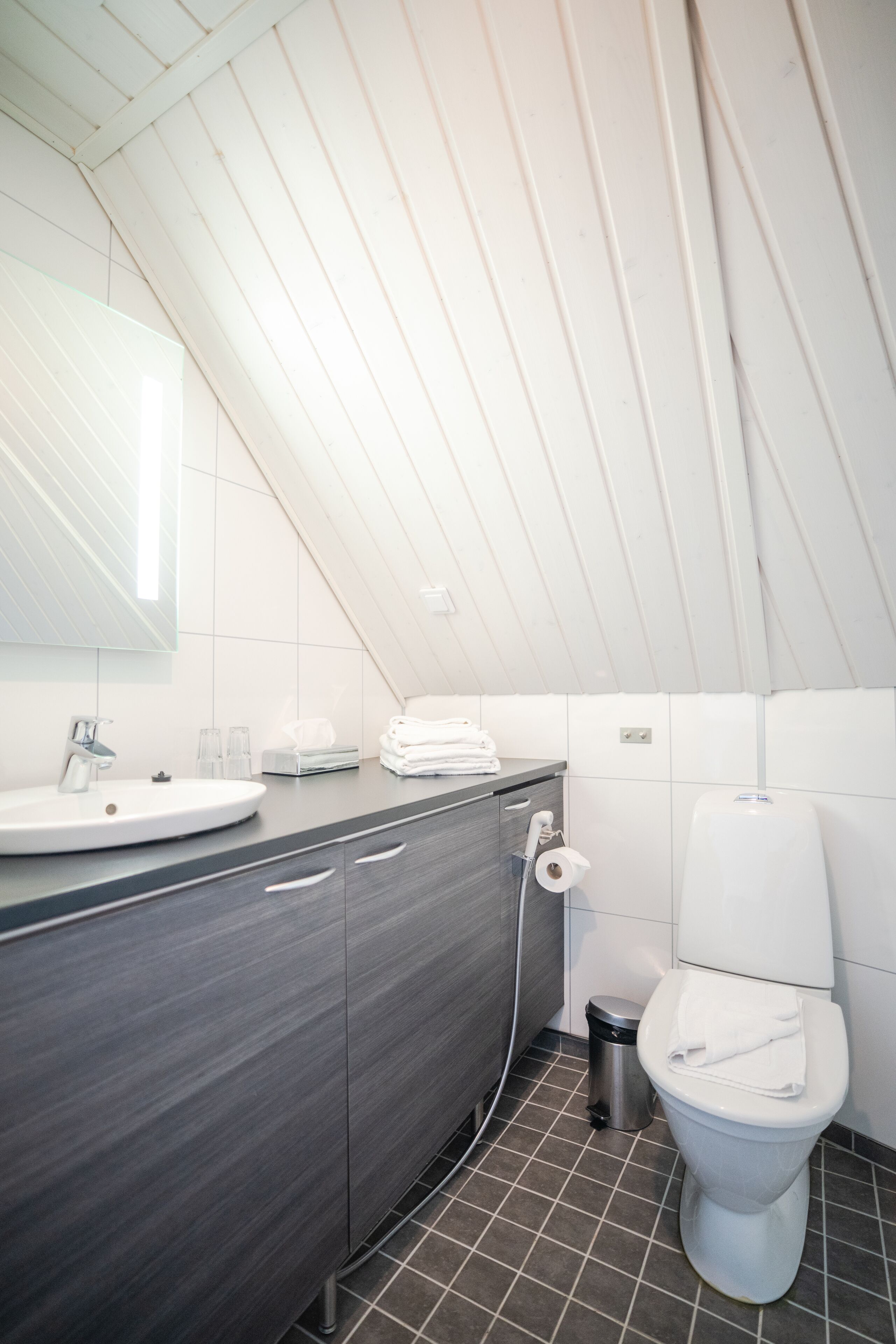 cabin | bathroom | shower, rainfall showerhead, free toiletries, hair dryer
