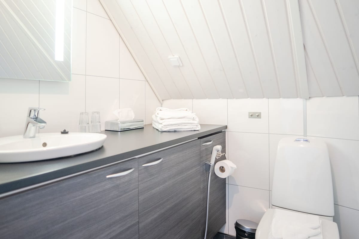 cabin | bathroom | shower, rainfall showerhead, free toiletries, hair dryer