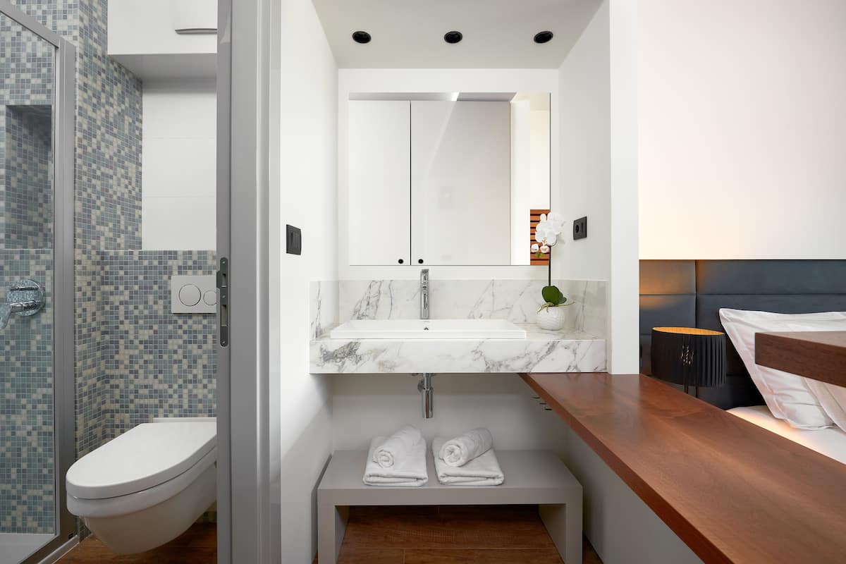 Duş, ücretsiz banyo/kozmetik ürünleri, saç kurutma makinesi, bornoz