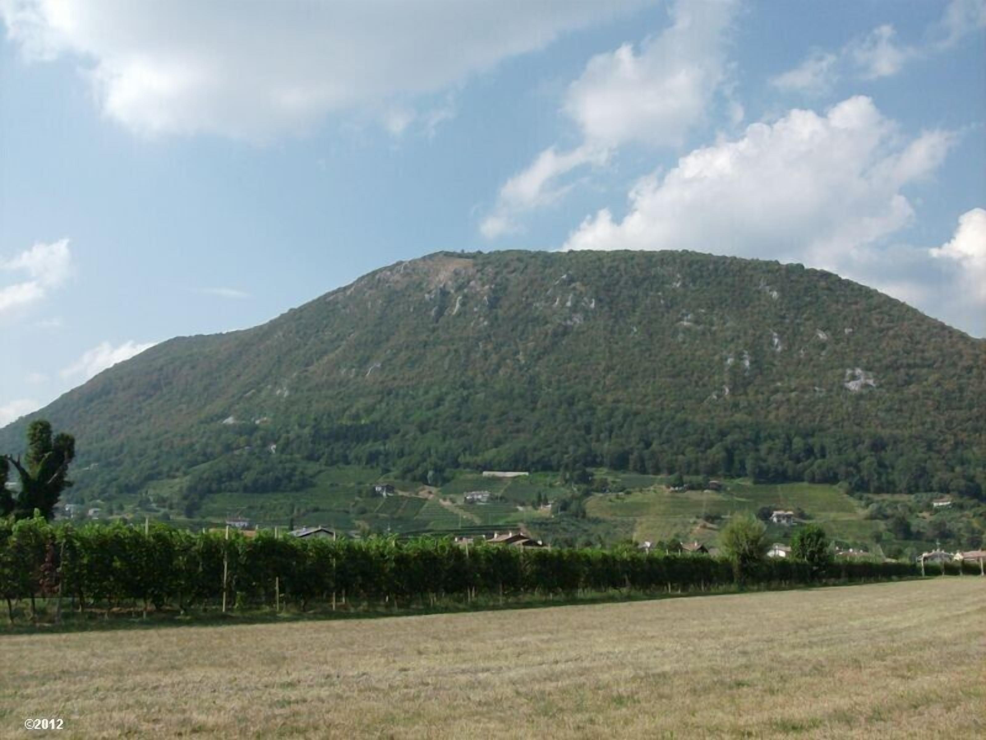 A mountain with a vineyard in the foreground and houses scattered across the valley.