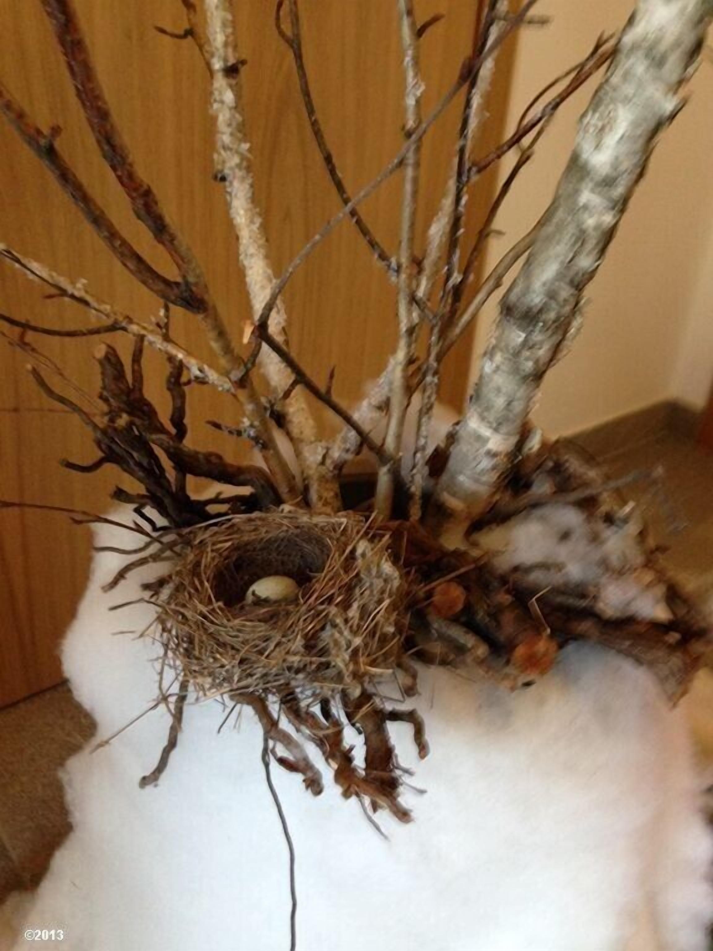 Une composition décorative comprenant des branches et un nid contenant un œuf.