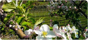 Vue depuis l’hébergement