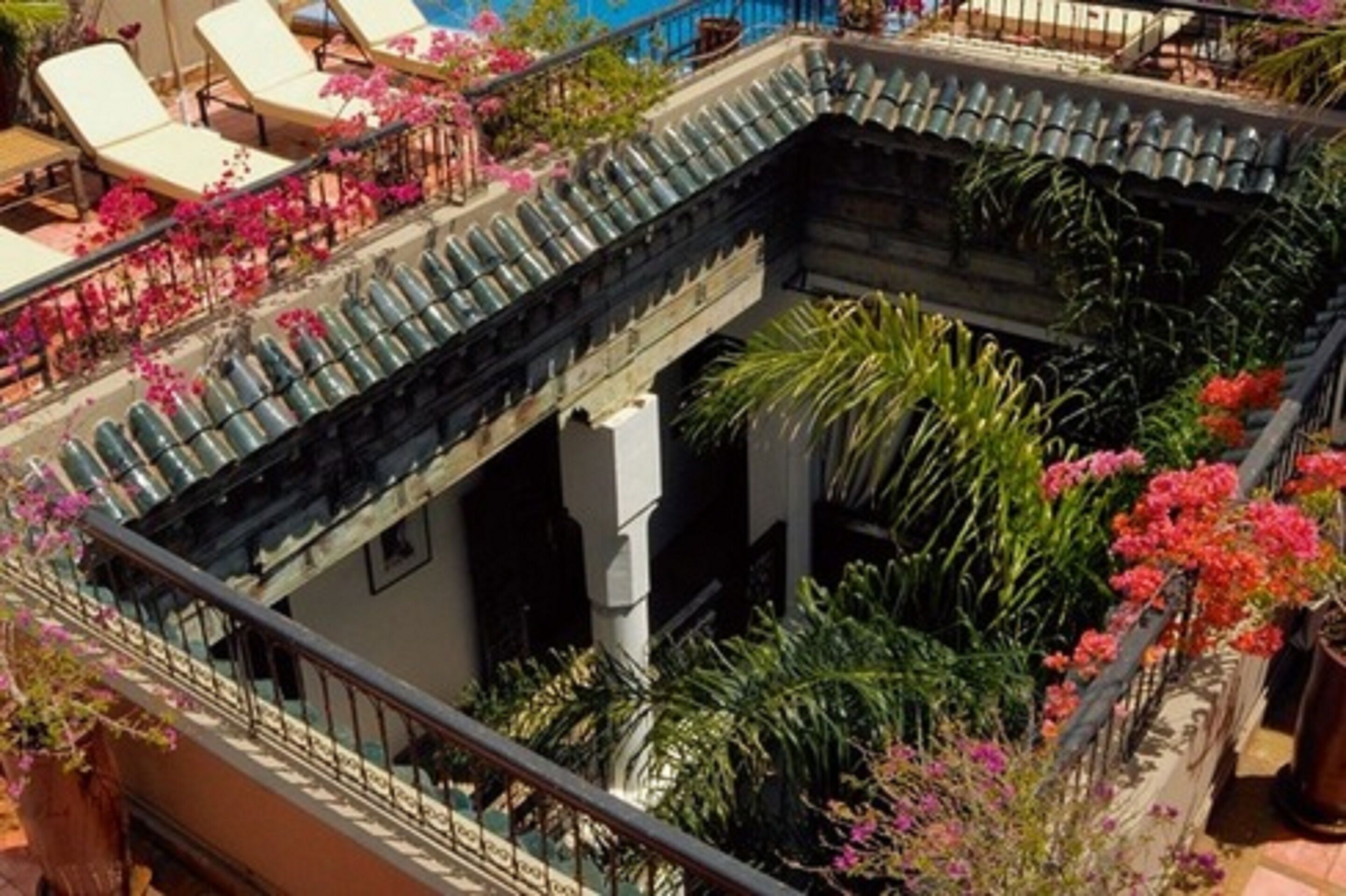 A courtyard with a pool, lounge chairs, and potted plants.