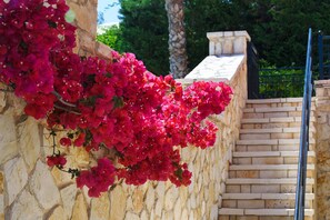 Property grounds - Il Tesori Dassia Villas (Corfu)