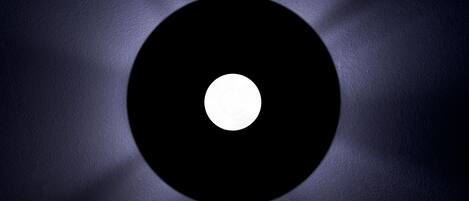 A circular object with a central white dot, surrounded by a dark ring.