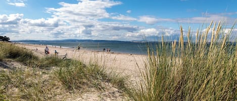 A beach with sand dunes and grass in the foreground, a clear sky, and a calm sea in the background.