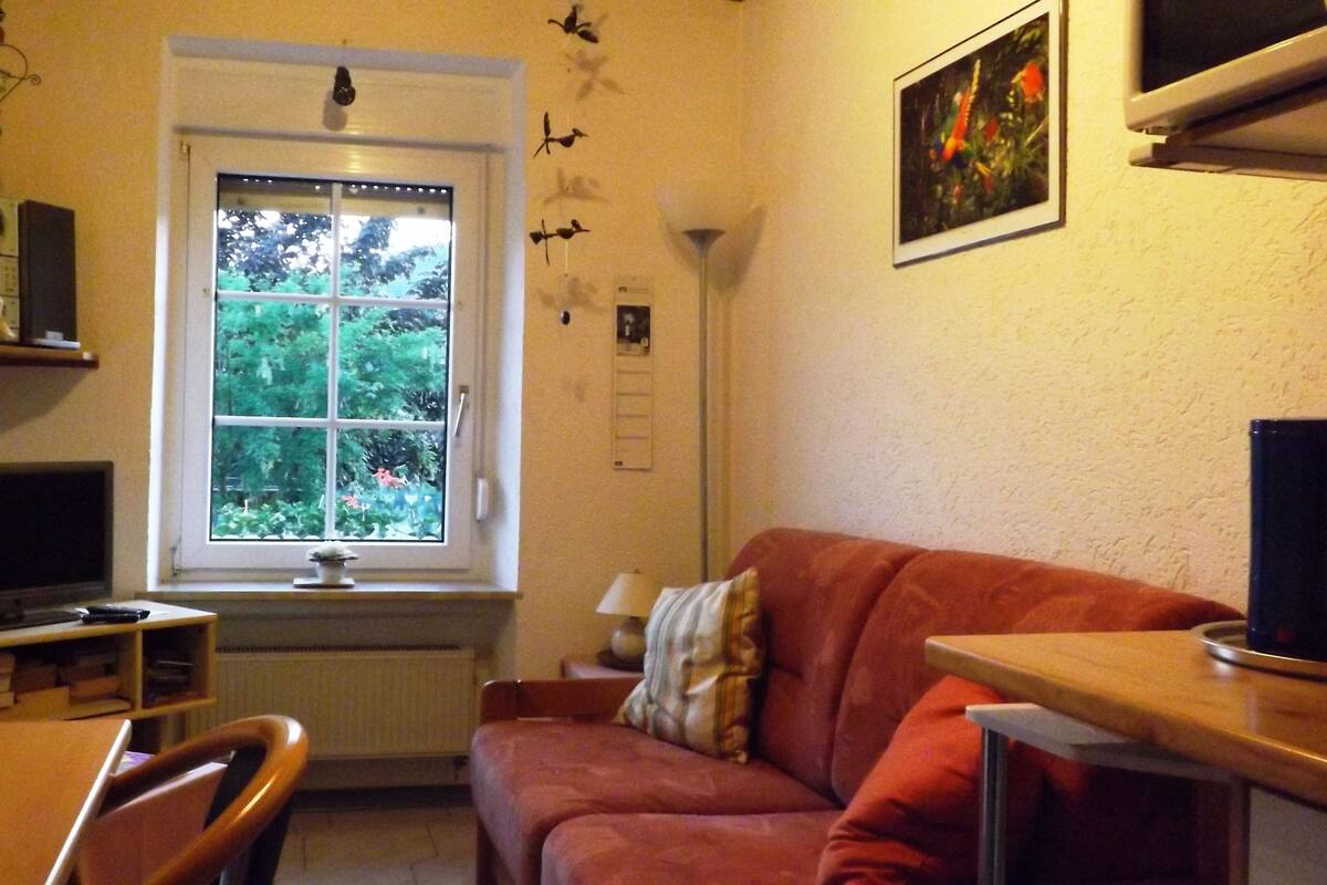 A cozy living room with a red sofa, a wooden table, a TV, and a window with a view of greenery.