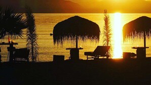 A beach scene with a sunset, palm trees, and beach chairs under umbrellas.