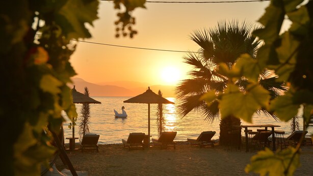 Cena de praia com cadeiras de sol, uma mesa e um cisne nadando na água.