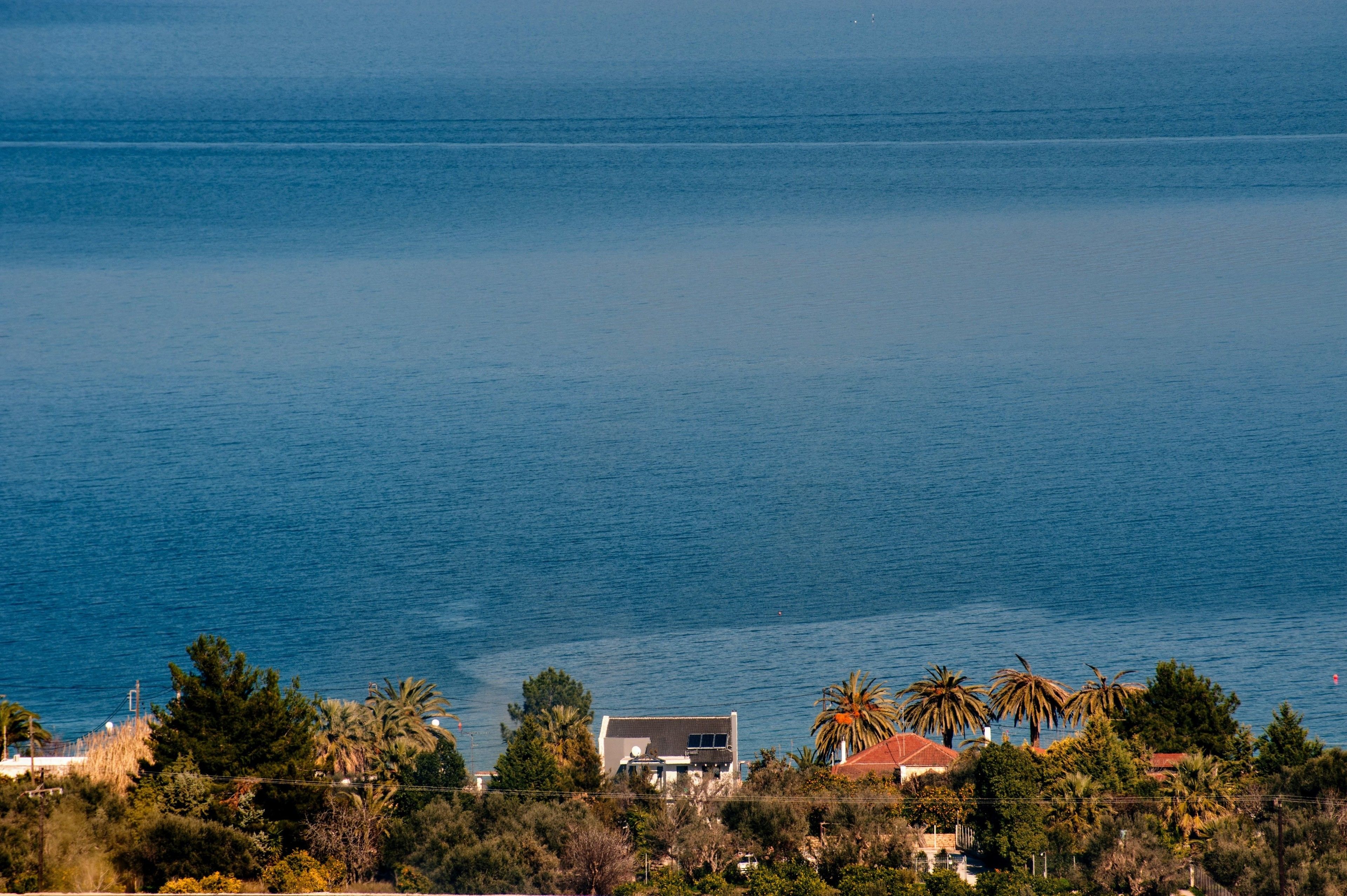 A coastal view with a building and palm trees.