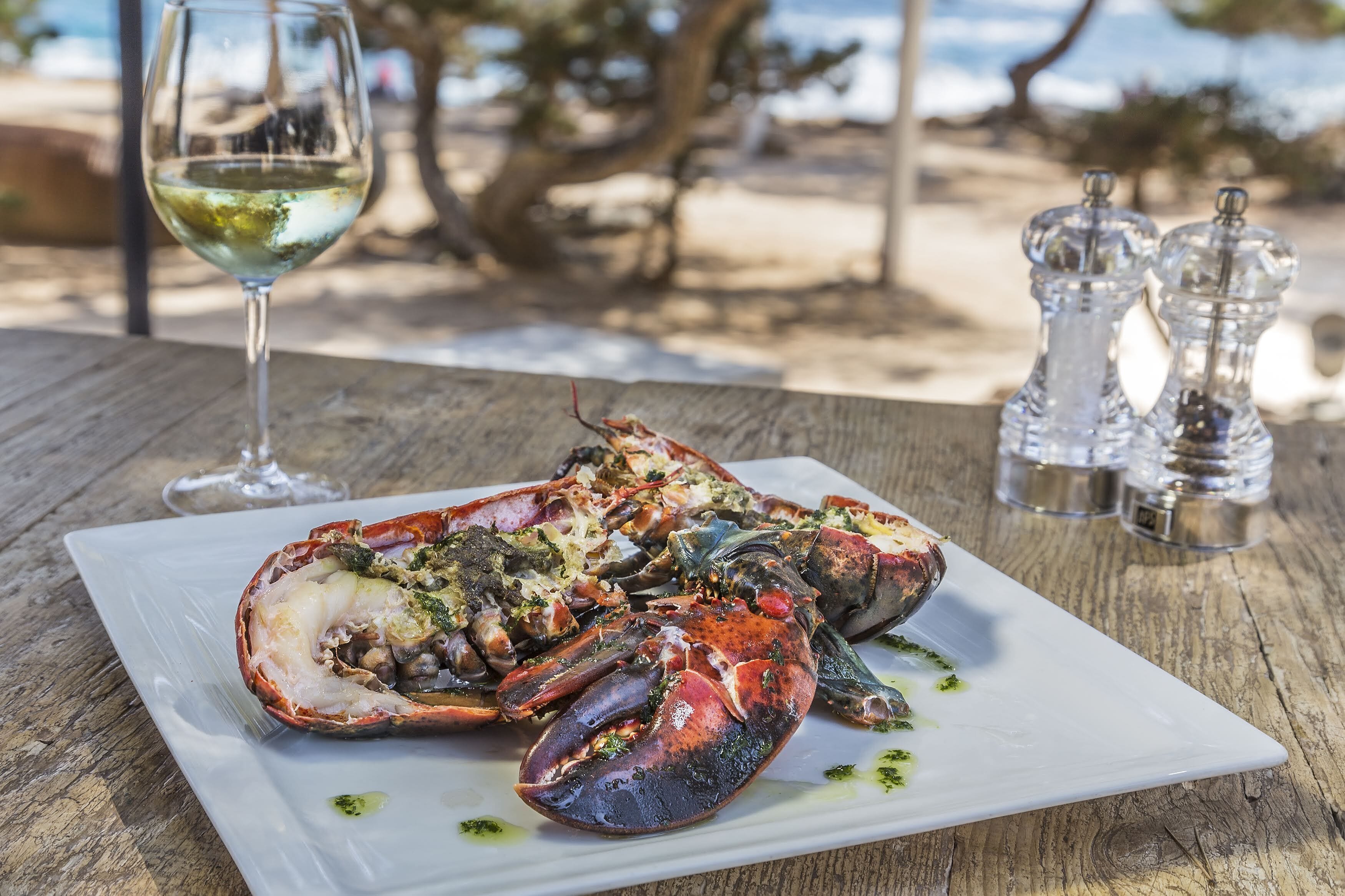 Foto - Catalonia Royal Ses Estaques-Adults Only