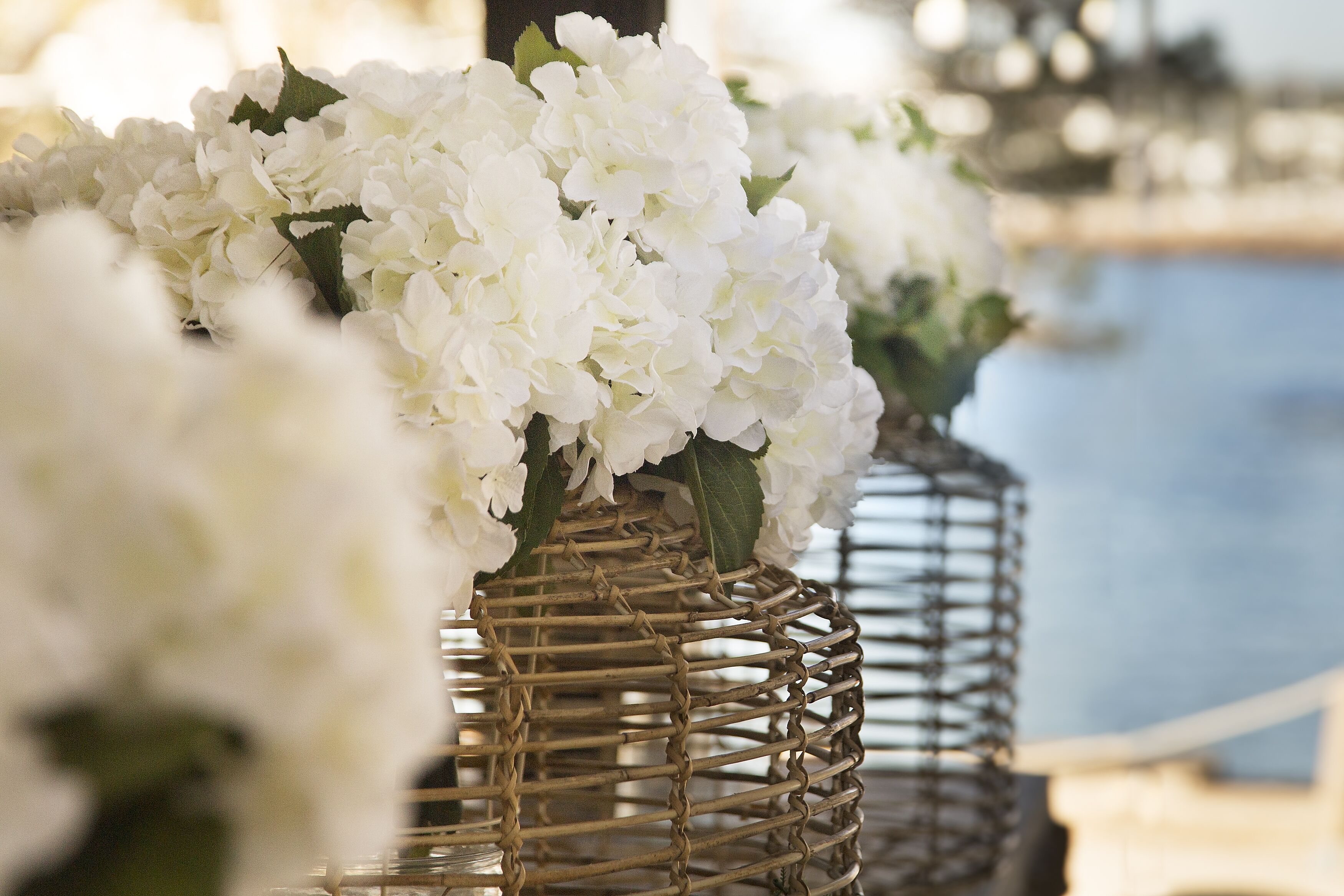 Foto - Catalonia Royal Ses Estaques-Adults Only