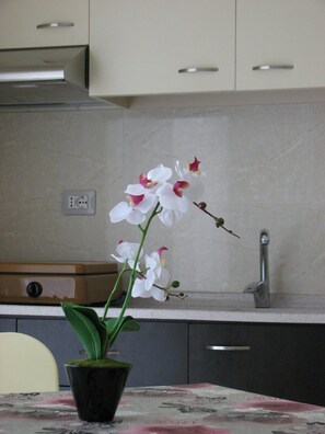 Apartment, 1 Bedroom, Balcony, Garden View | Private kitchen