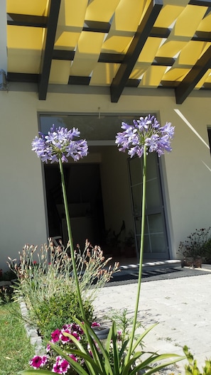 Porch - Hotel Vila Tufi (Velipoje)
