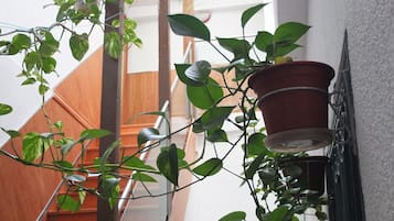 Detalle interior