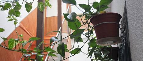 Una escalera con barandilla de madera, flanqueada por plantas en macetas y una baranda metálica.
