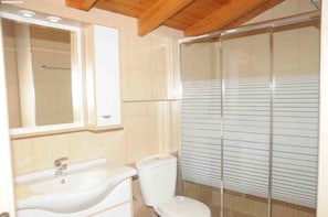 A bathroom with a sink, mirror, toilet, and a shower enclosure.