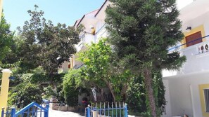 Property grounds - Zafiria Apartments (Samos)