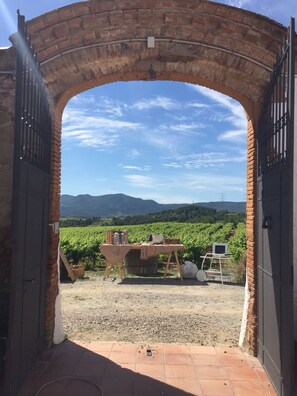 View from property - Masia Can Canyes & Spa (Sant Llorenc d'Hortons)