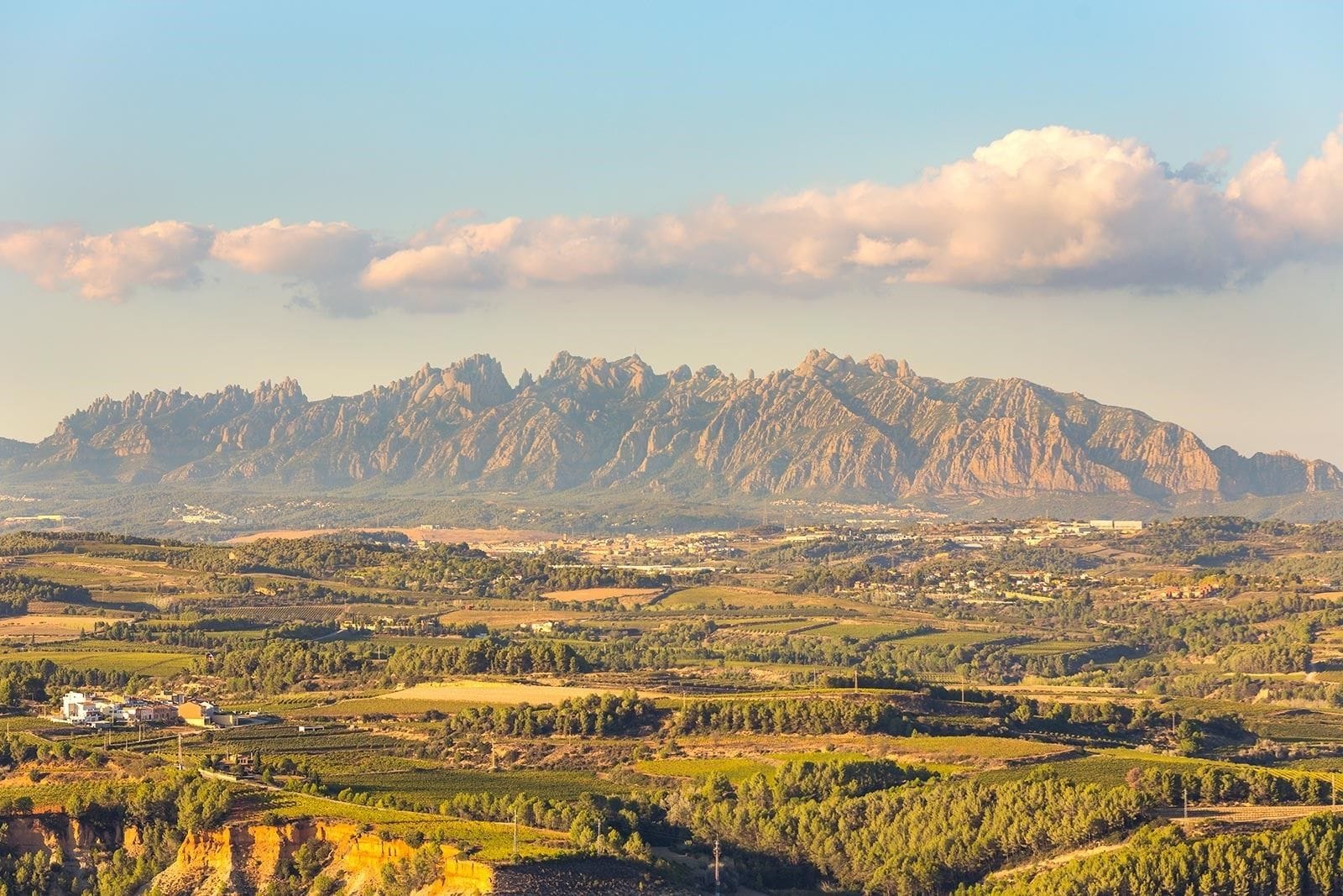 A mountainous landscape with vineyards and scattered buildings.