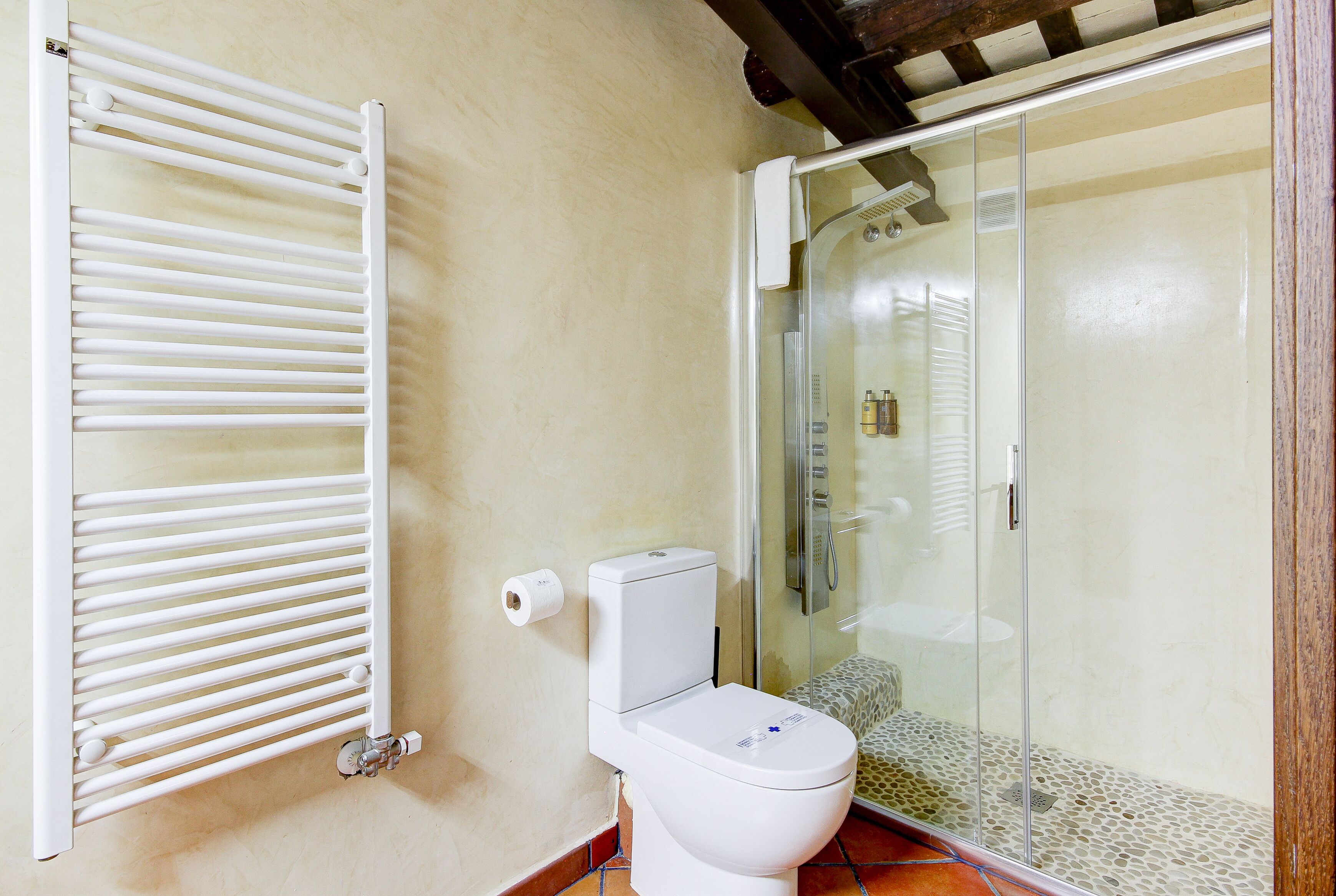 A bathroom with a toilet, a glass shower enclosure, and a white radiator.