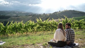 Exterior - Relais Cocci Grifoni - Panoramic Wine Resort (Offida)