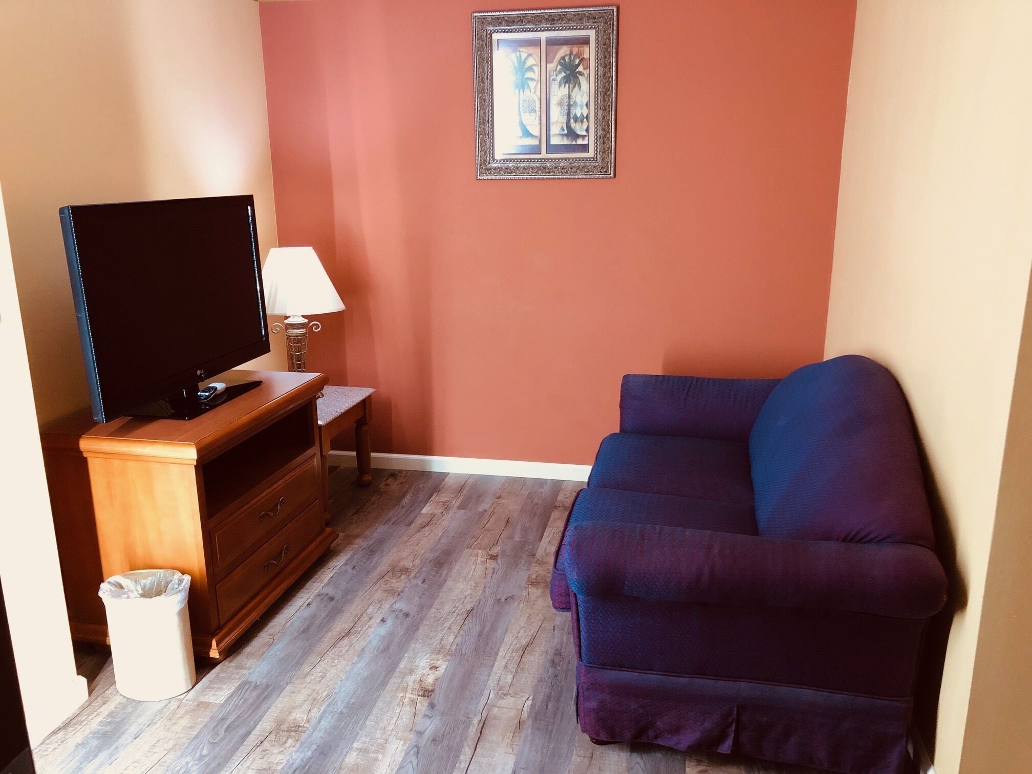 42 インチのLED テレビ (衛星放送視聴可)、テレビ